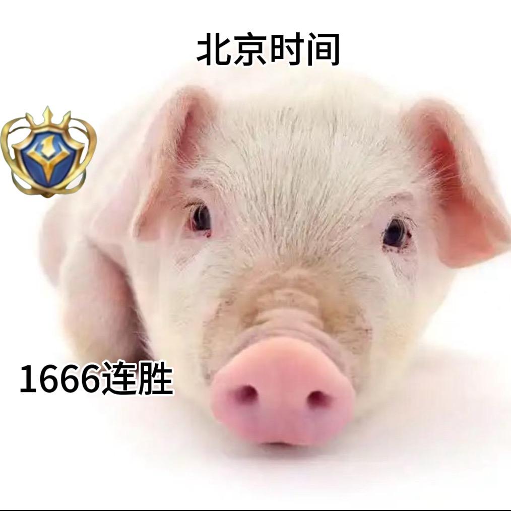 养猪之神🍟(无敌🐷)
