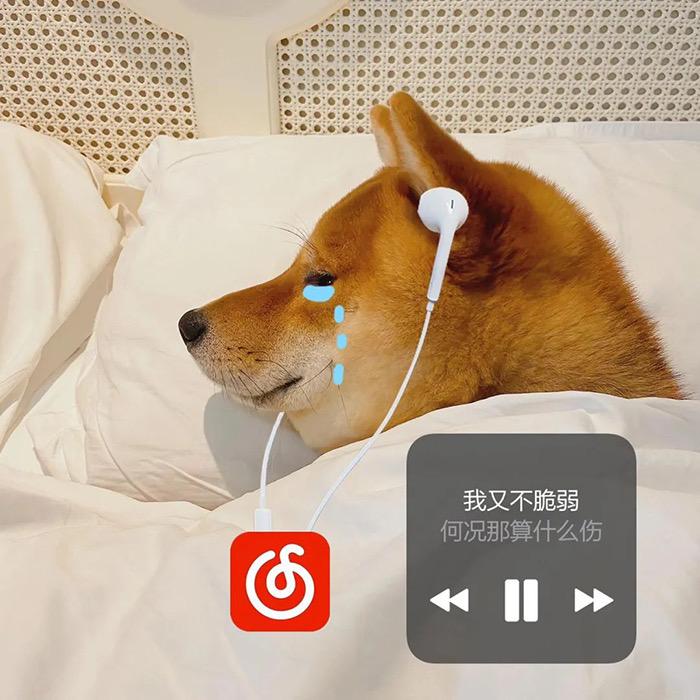 冷