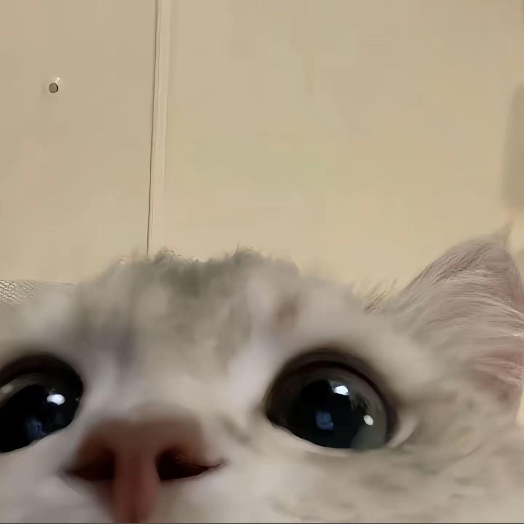 是一只小魚