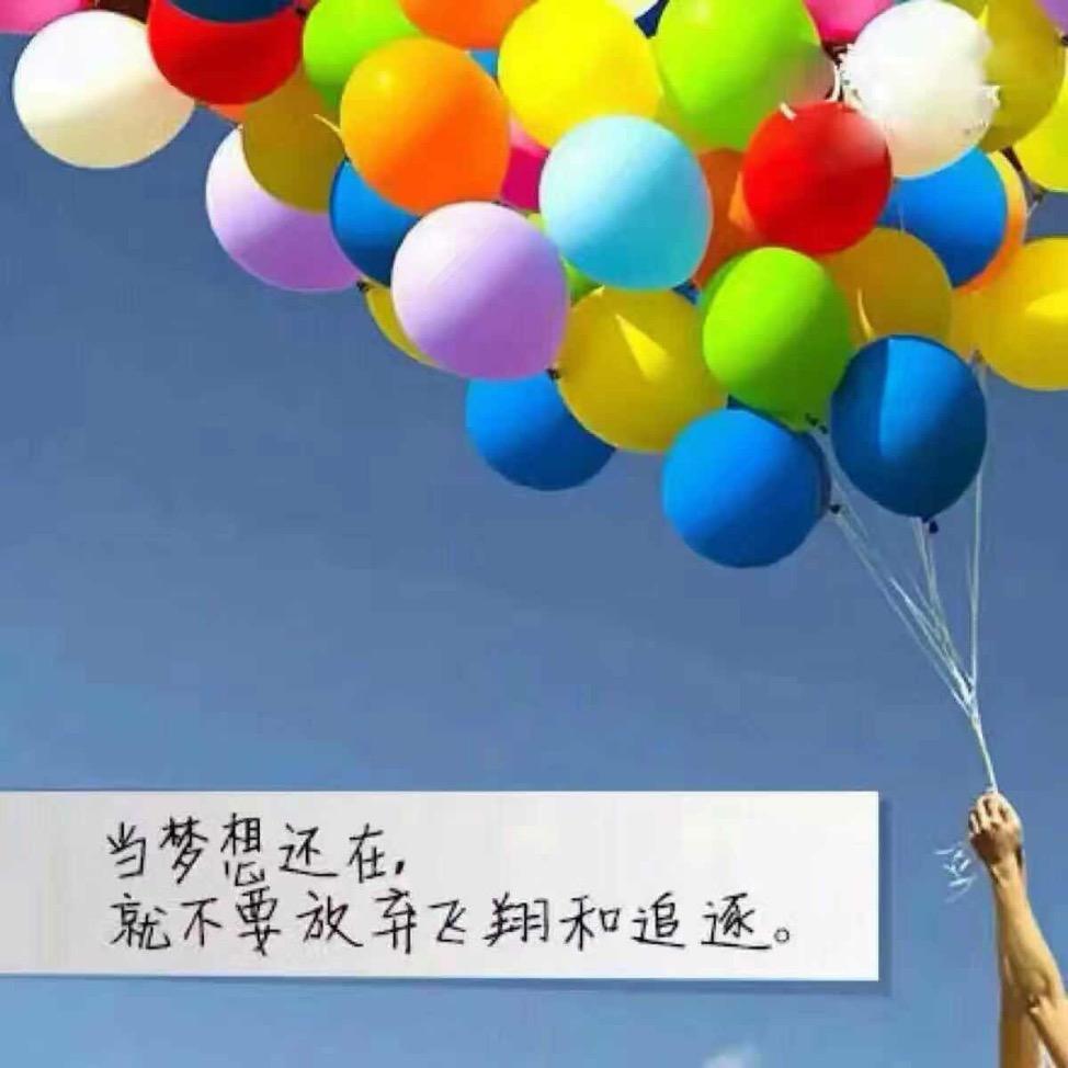 大于小陆