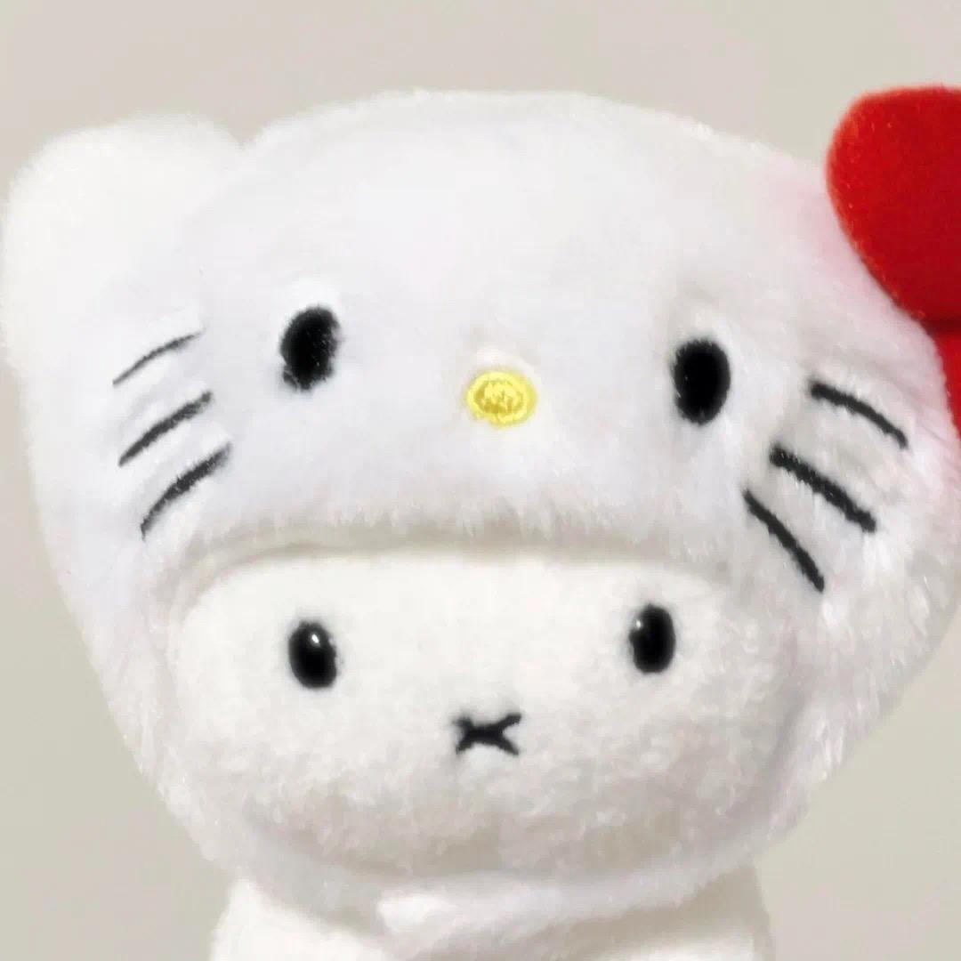 請我 chi 火锅！