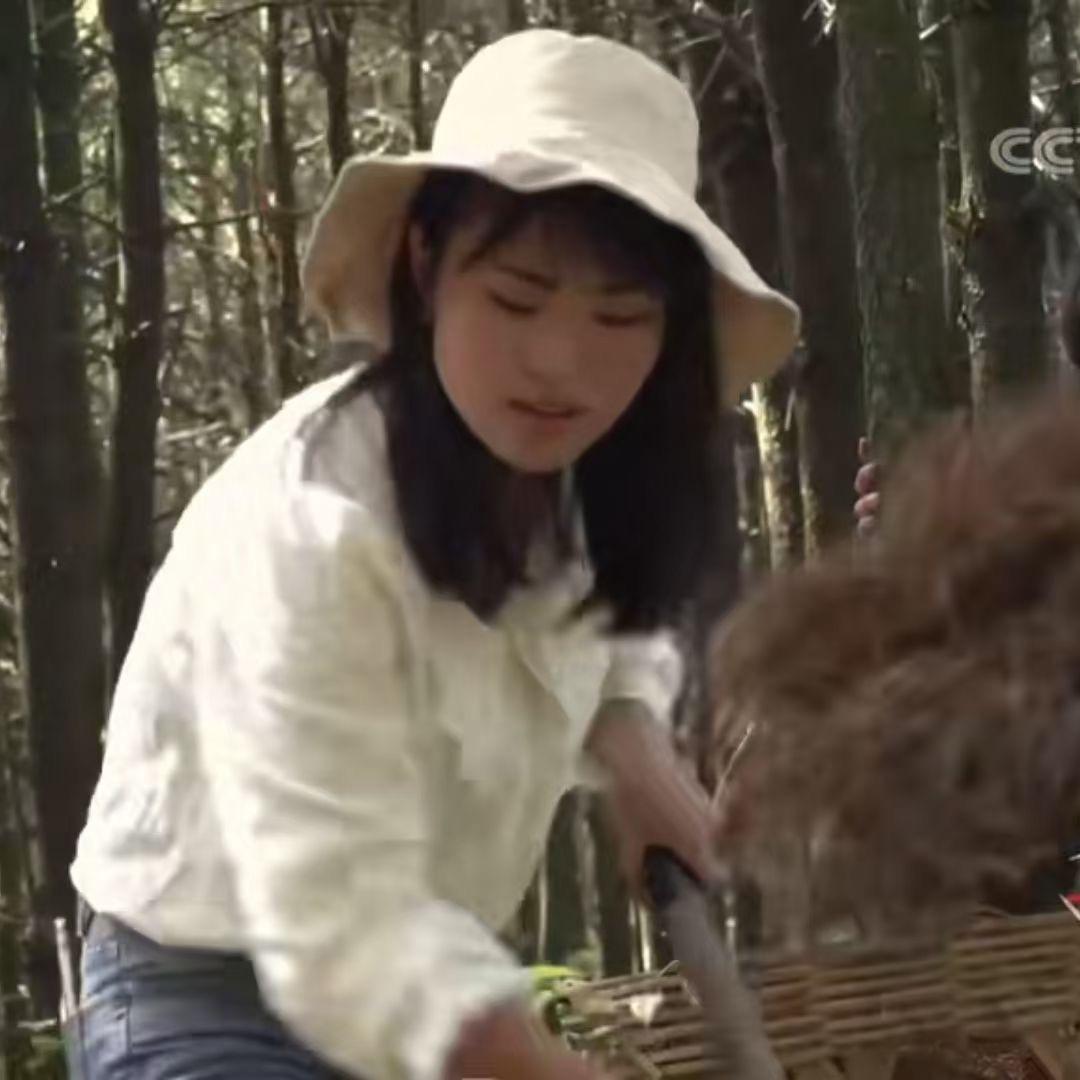 巧儿魔芋种子培育成品回收技术指导