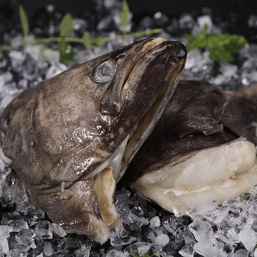 金窖酒厂（巧儿）