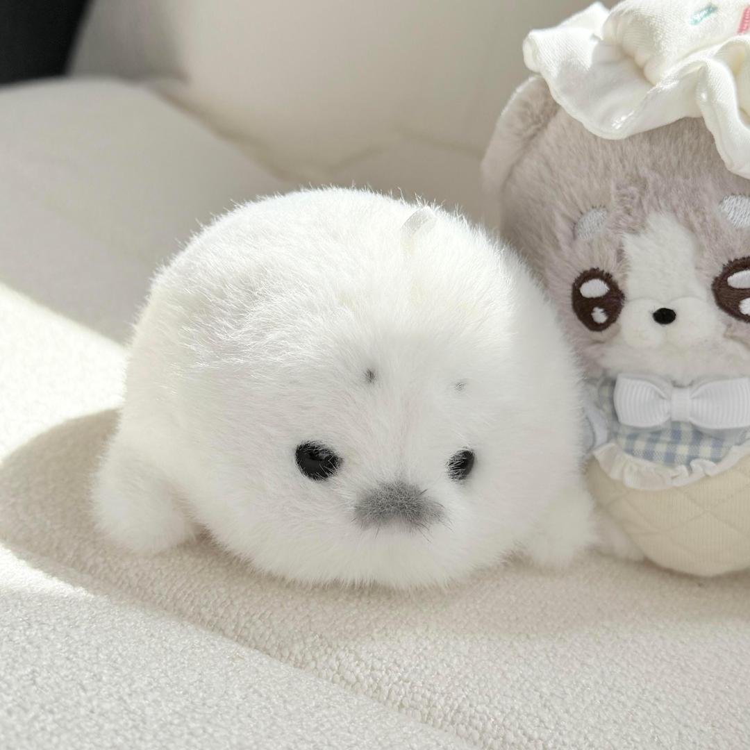 和泥天下第一好