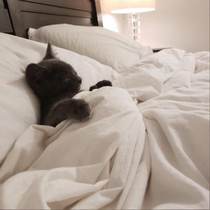 超级无敌幽默大师