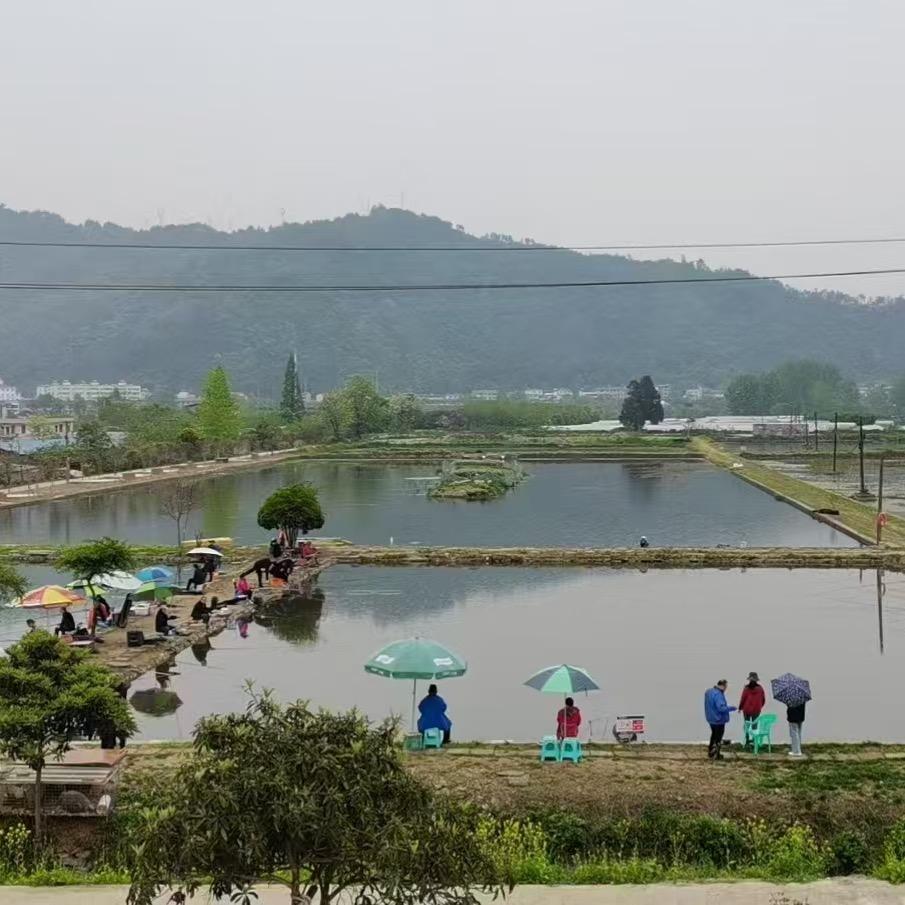 黄龙伴水渔钓场