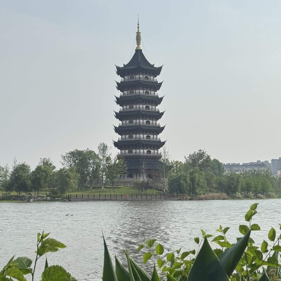 好聪明优选