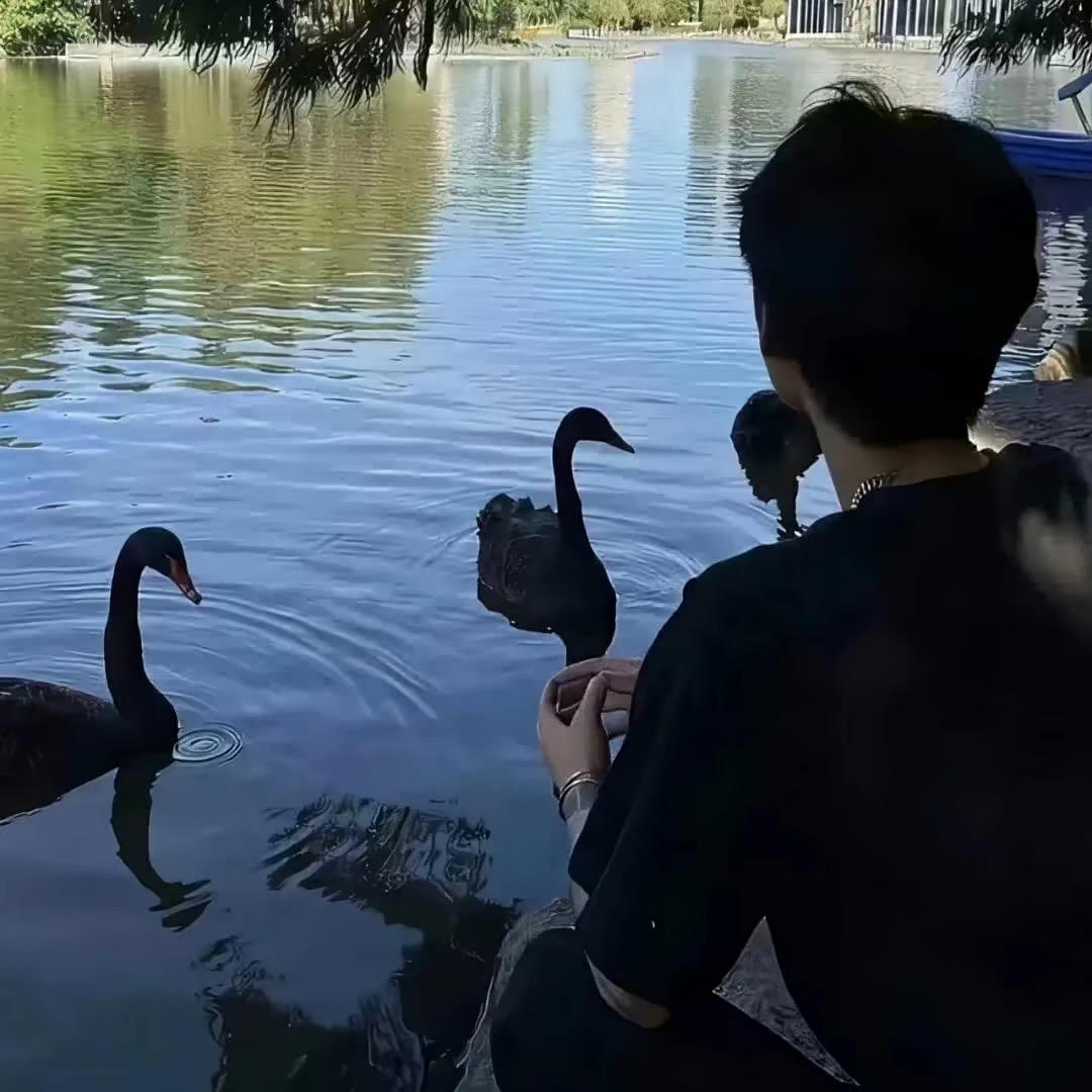 澜