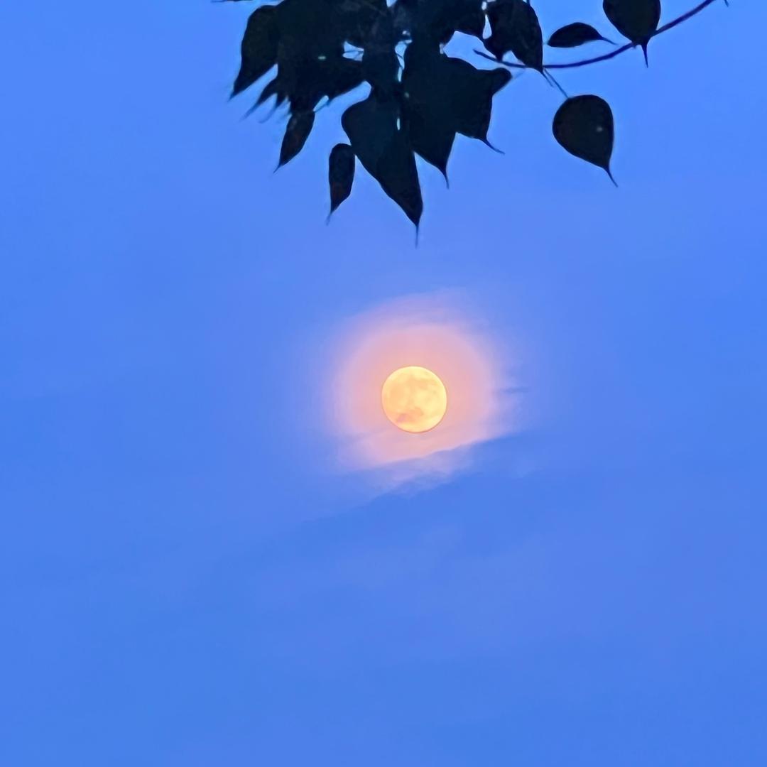 雨爱