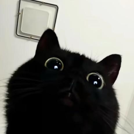 S s.