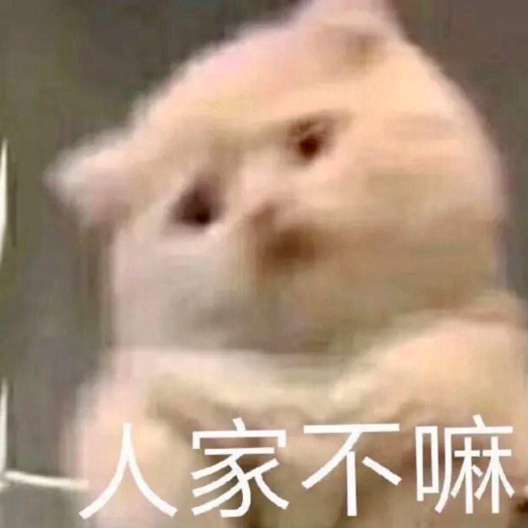 张晨