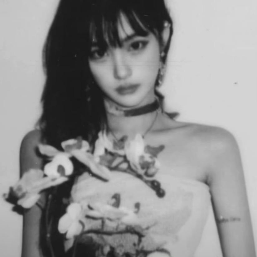 奇怪的小熊来访者