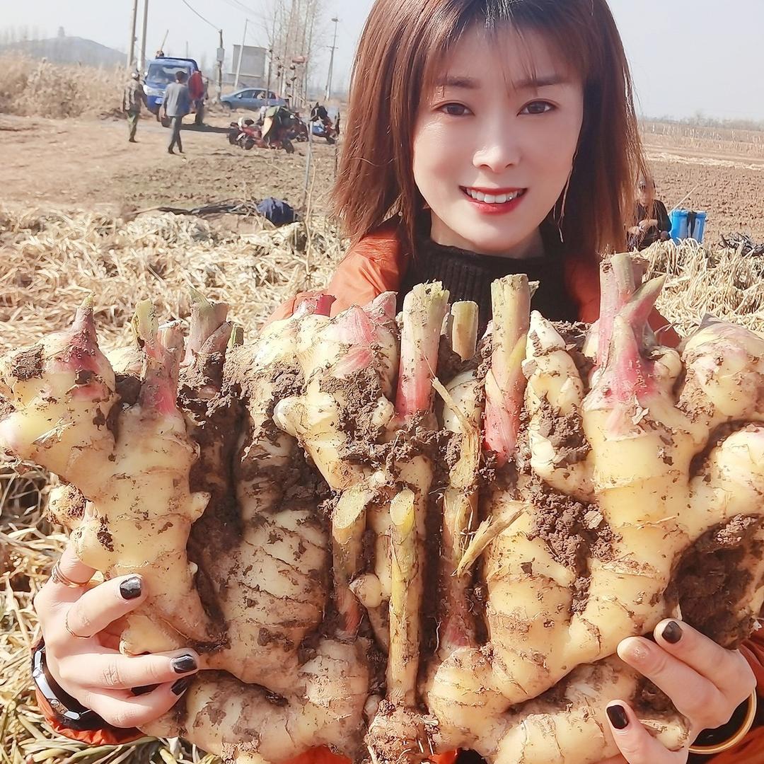 最美大姜（山东）花儿