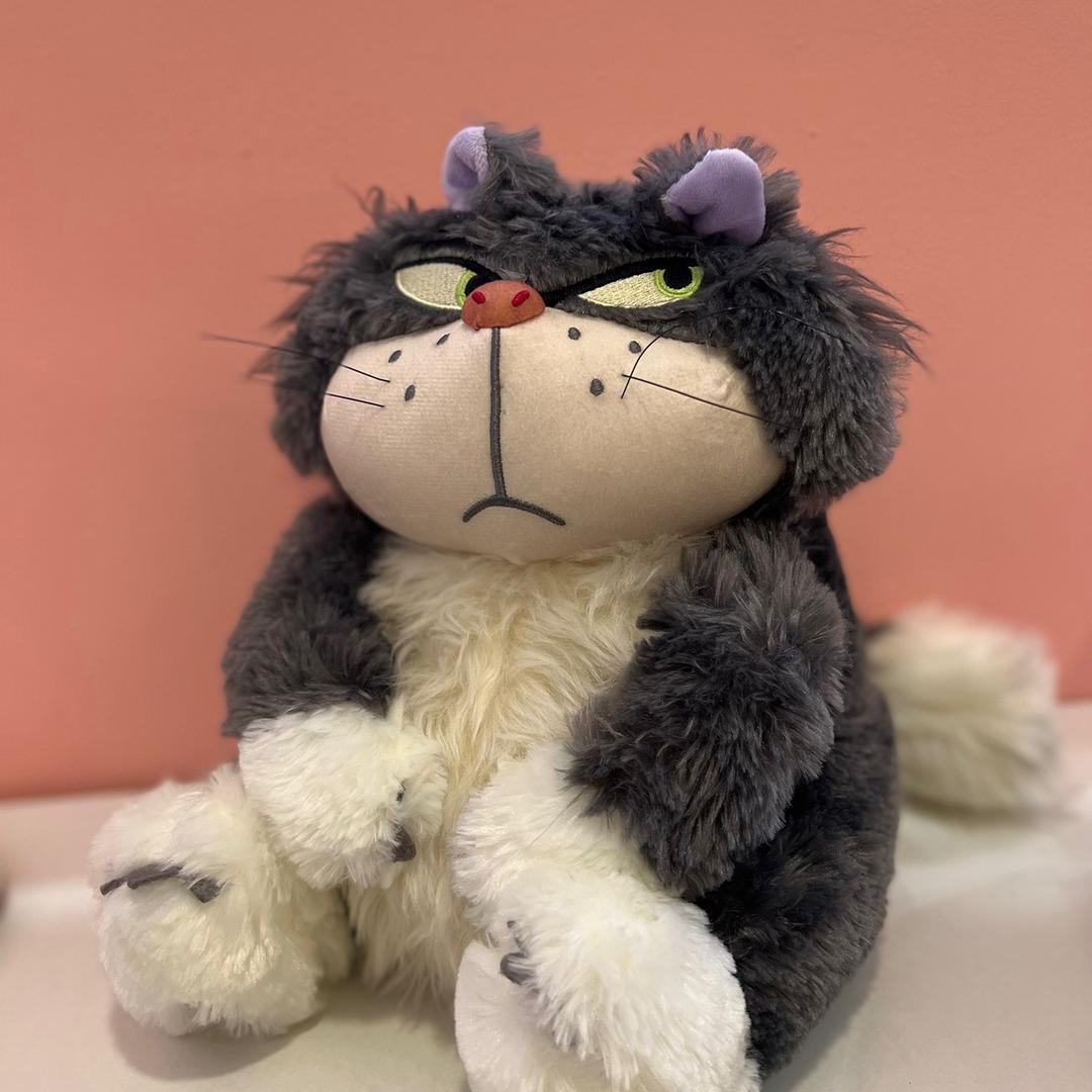 呜哇🧸
