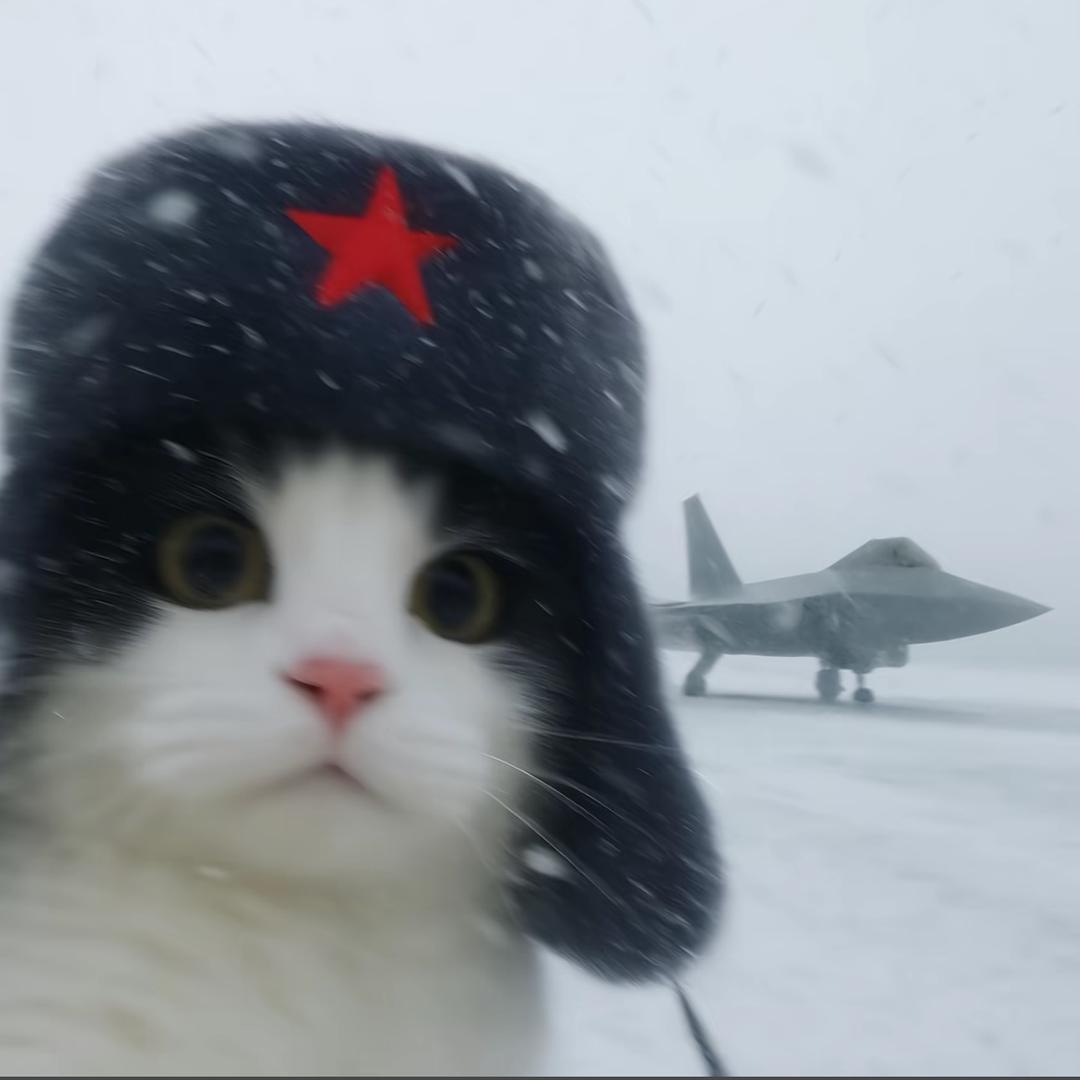 大大怪