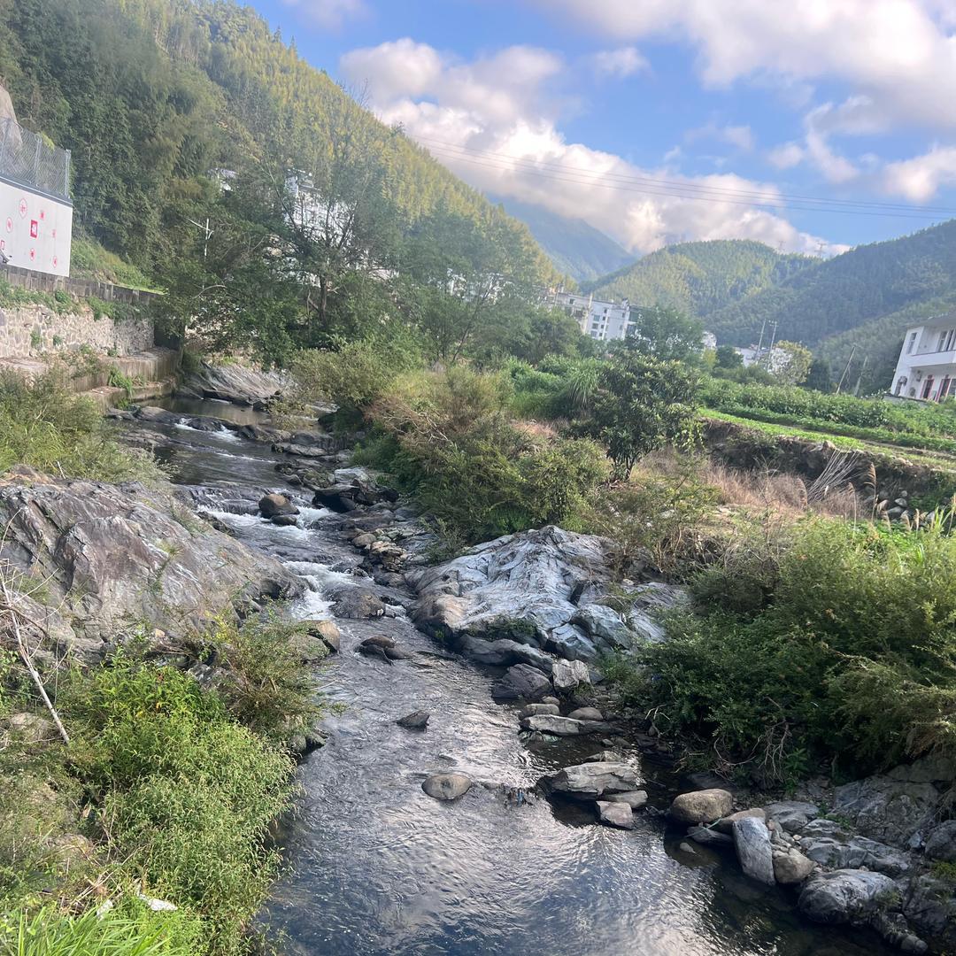 开顺风车养技师