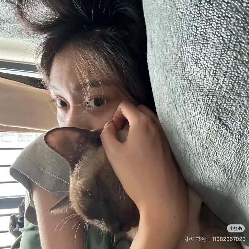 摸鱼很舒符