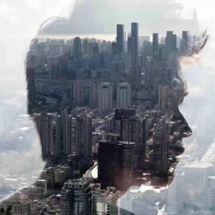 大龙老师教画画（有课程）