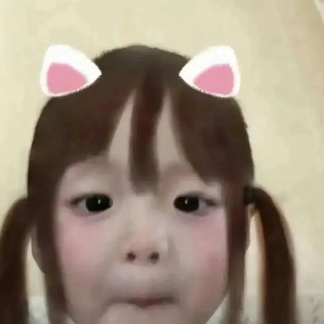 困困鱼
