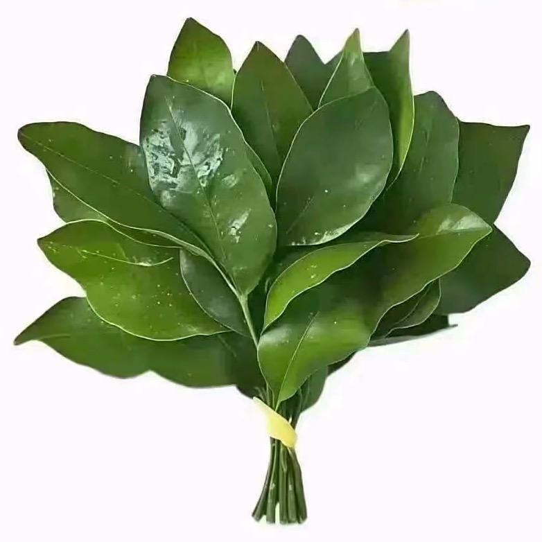 xiao琪琪