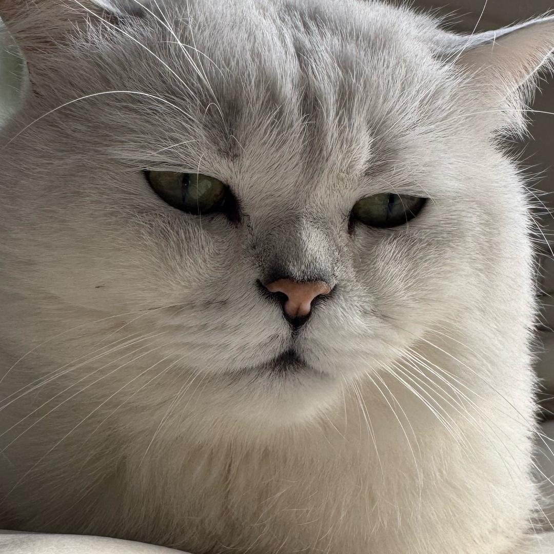 不受二十斤不改名