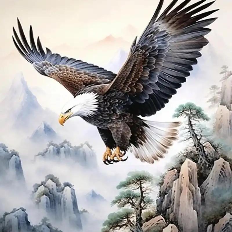 欧哥