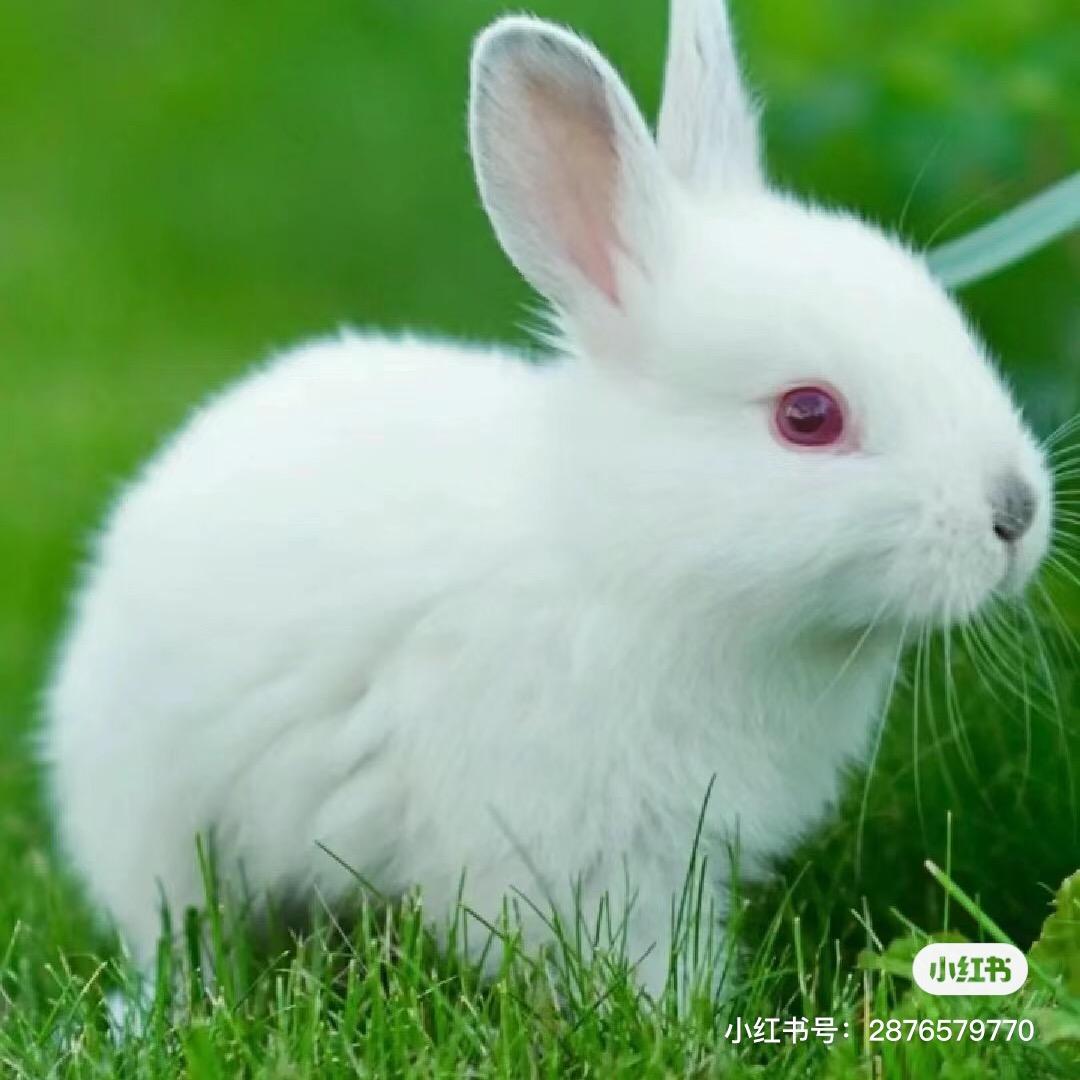 B落日漫游意29🐰