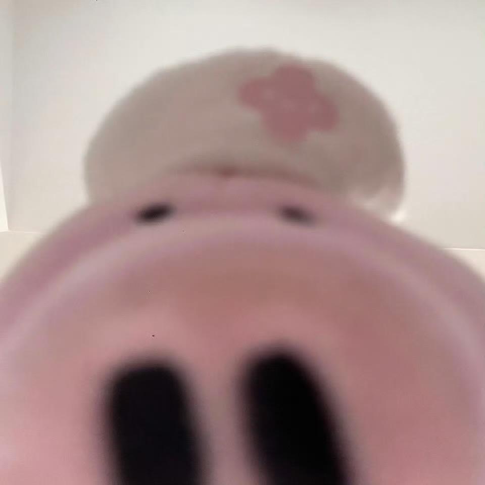 脆卷曲琪