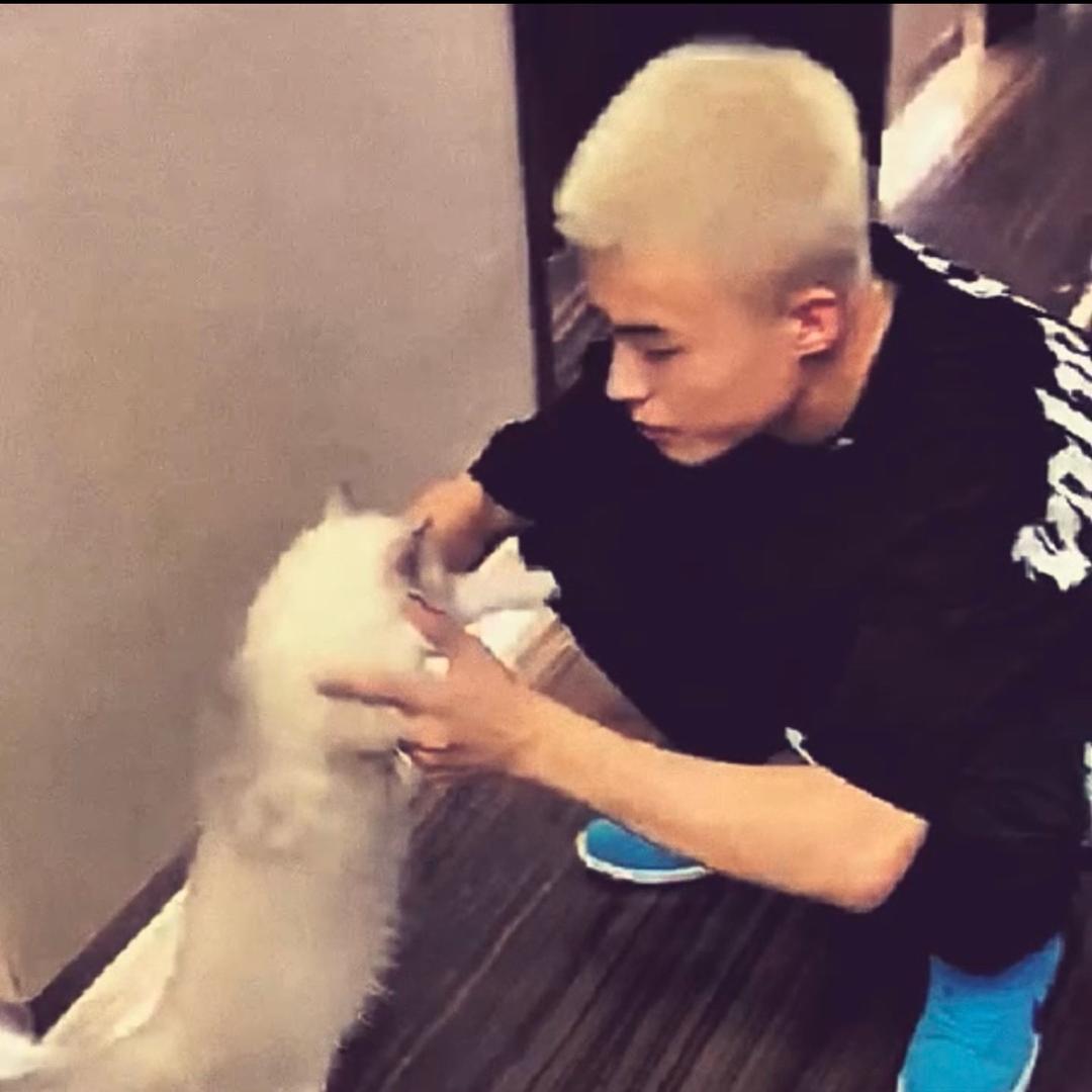 🦊👑