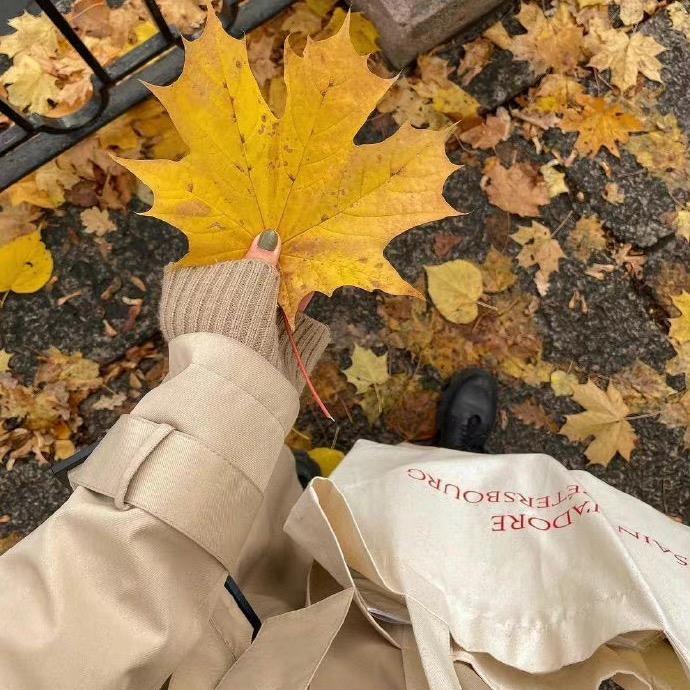 荟之晨露美容店官方号