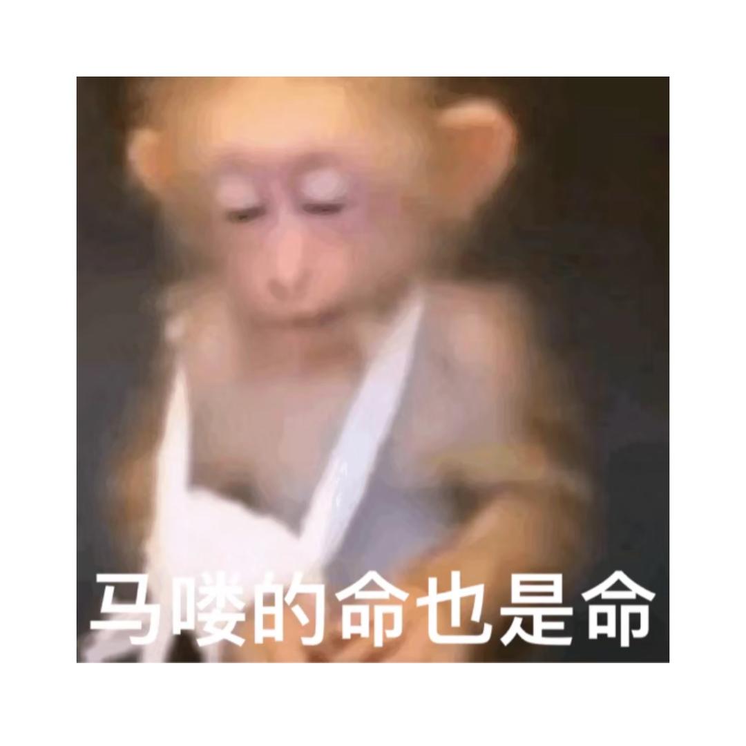 野史