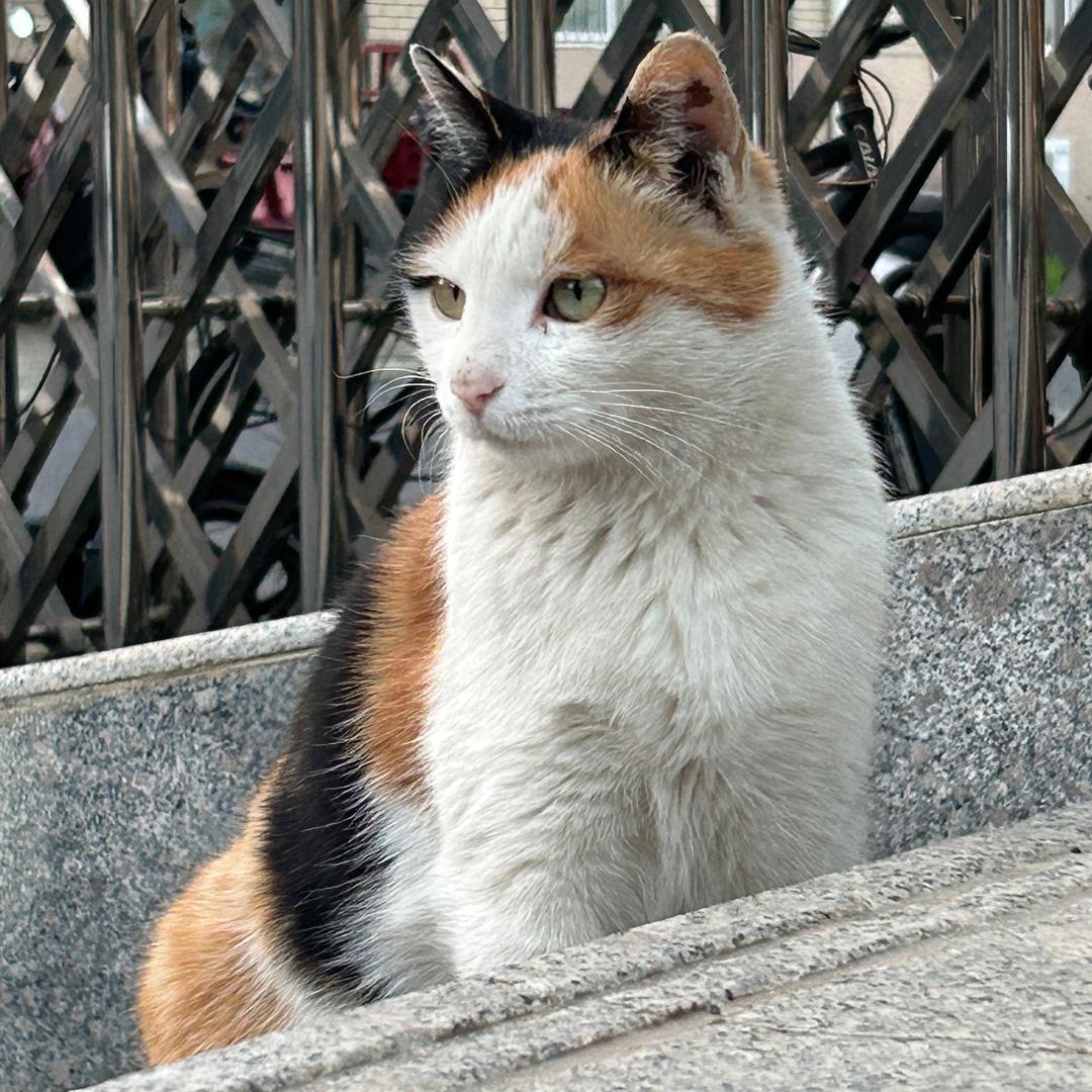 重生之我在合肥没找到工作（瑞兹大干）