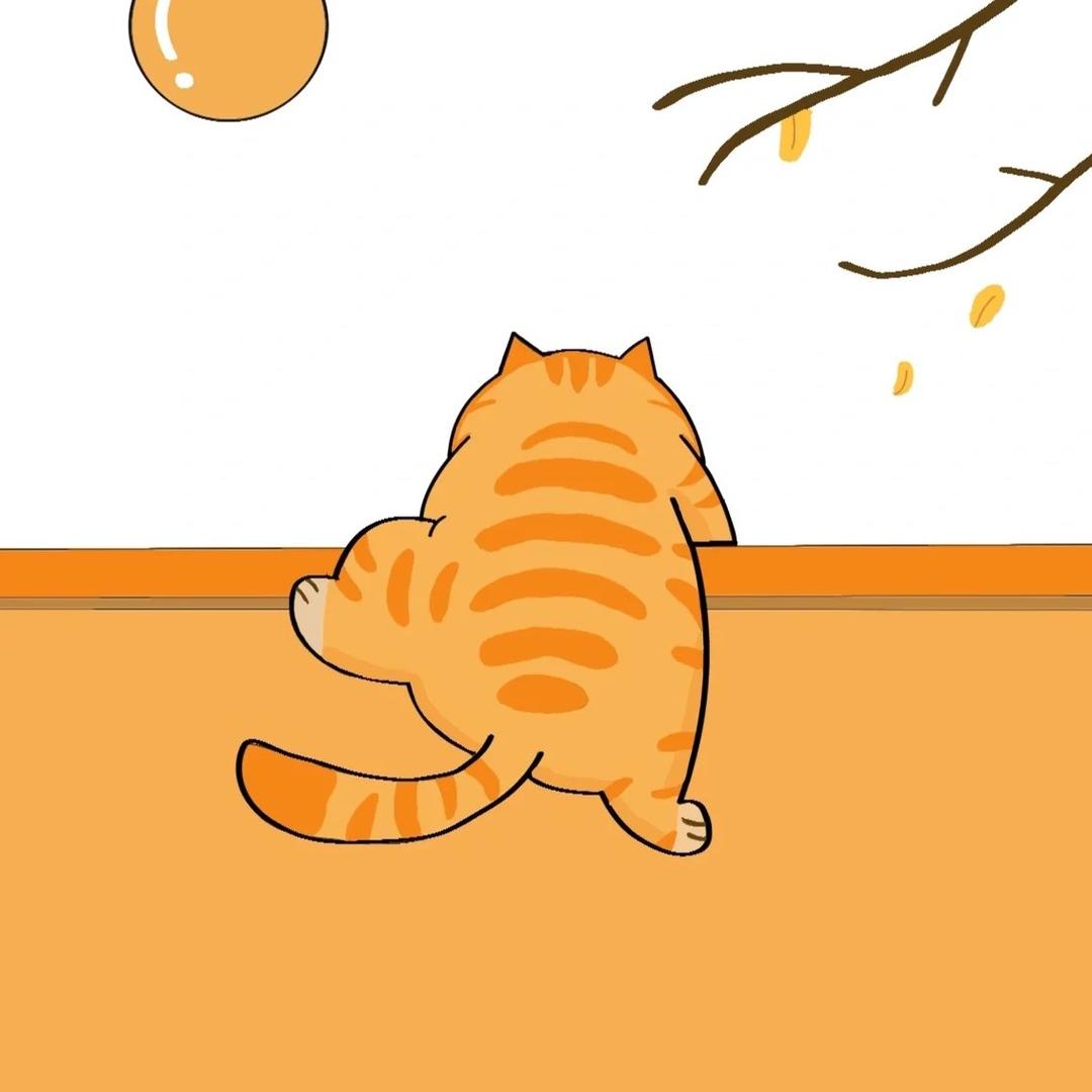 一只橘猫✨
