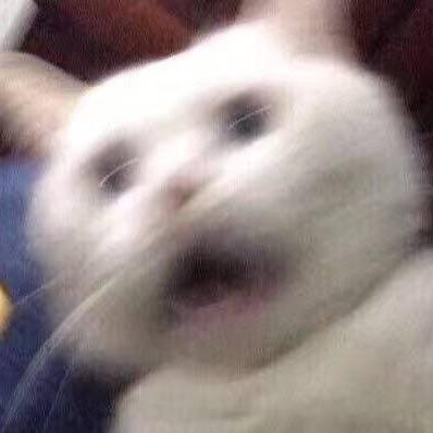 叉子哥