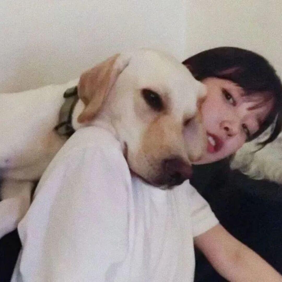 S.、