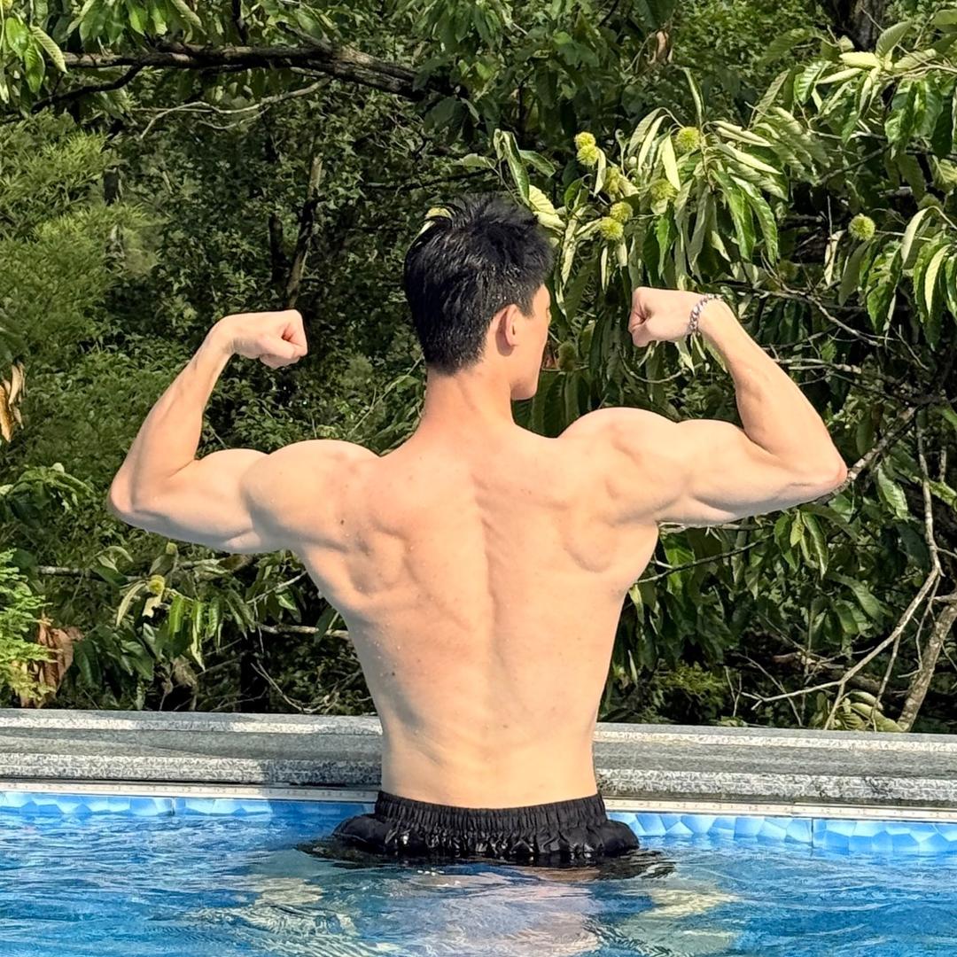 白扬