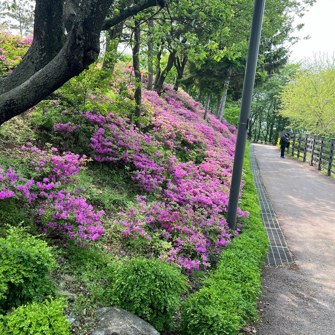 最远的距离