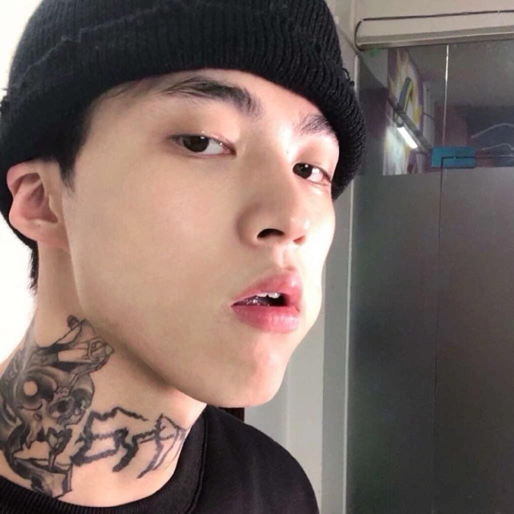 杨卷