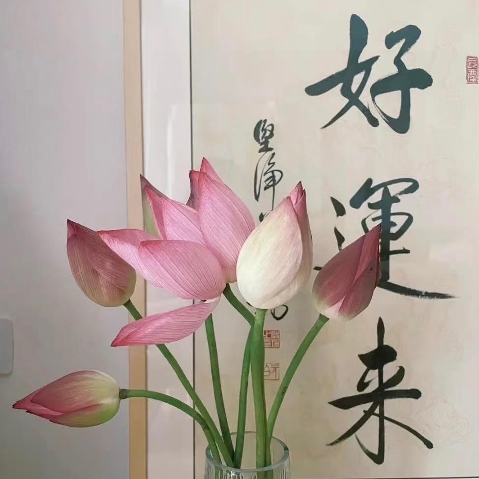㻄阝