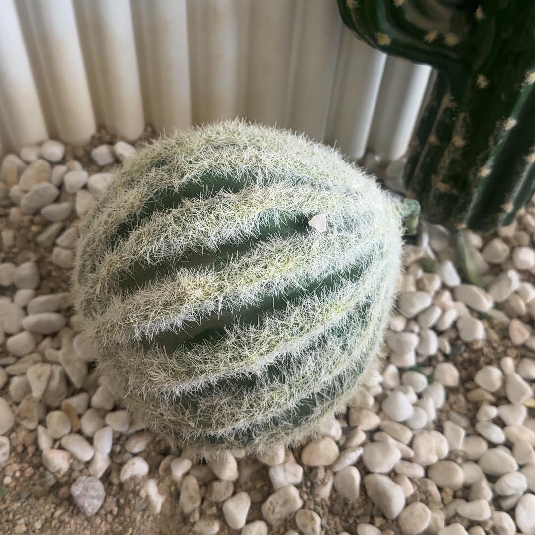 习惯了不习惯的习惯