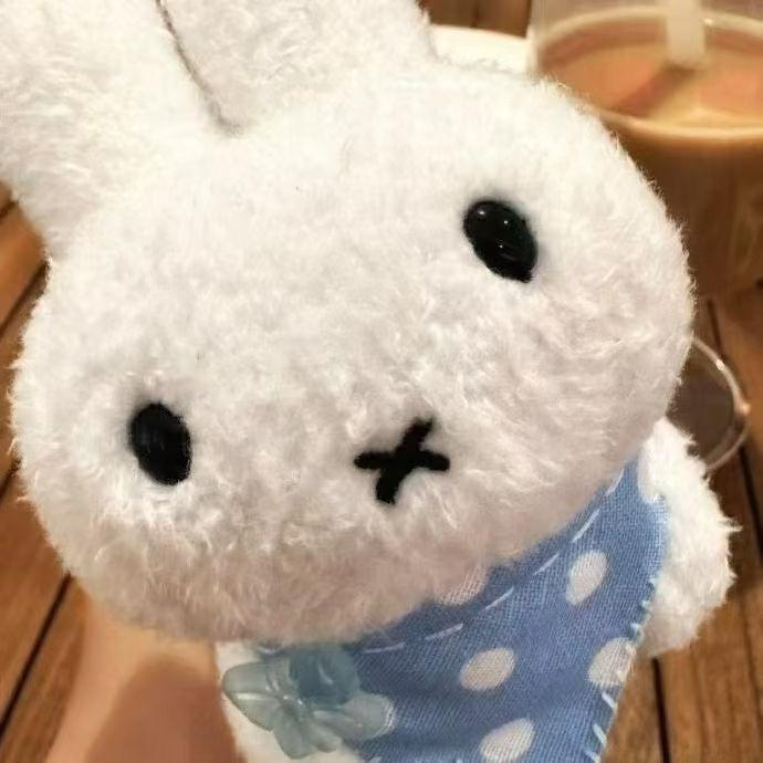 艾泥芝士不鱼