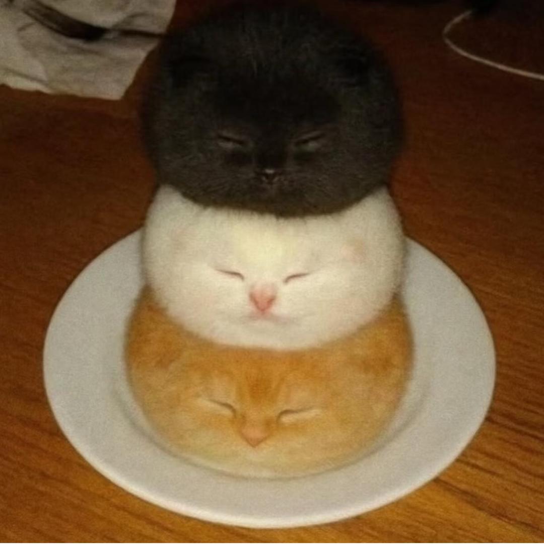 睡觉的时候不会困-