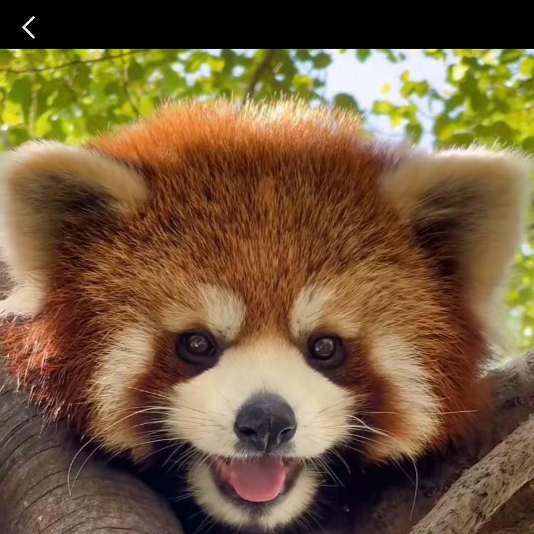 弦上有春秋