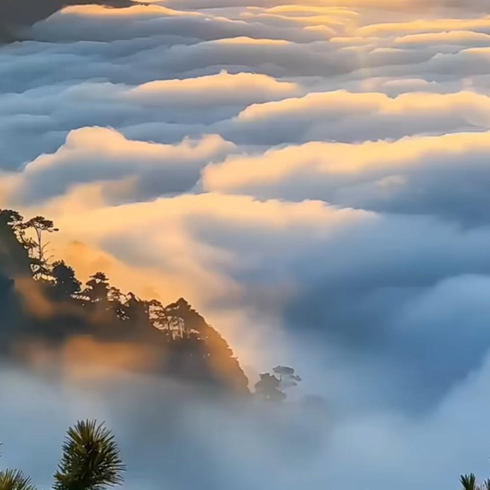 博睿安装
