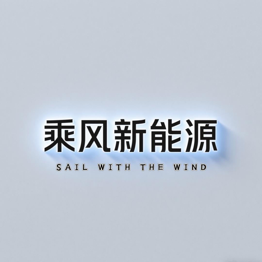 乘风新能源二手车
