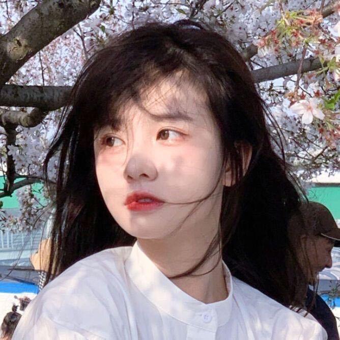 软糯团子🍡