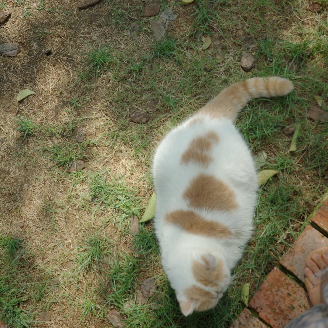 眉匠·临沂·老王