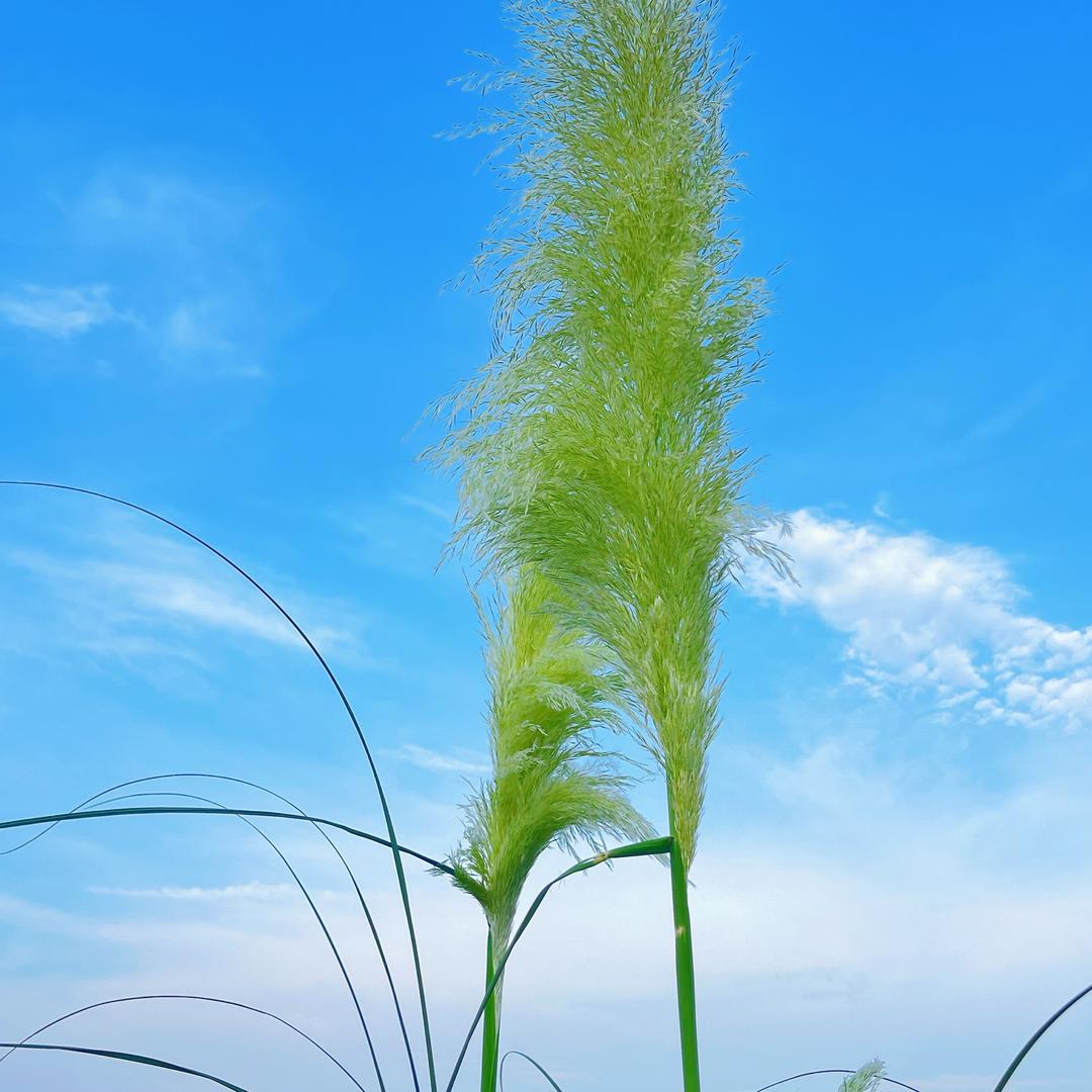 @楽楽