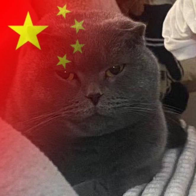 骄傲的人又很急性