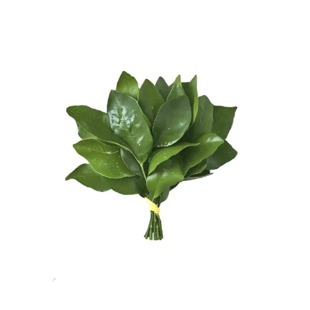 光山昊飞多媒体创意屋